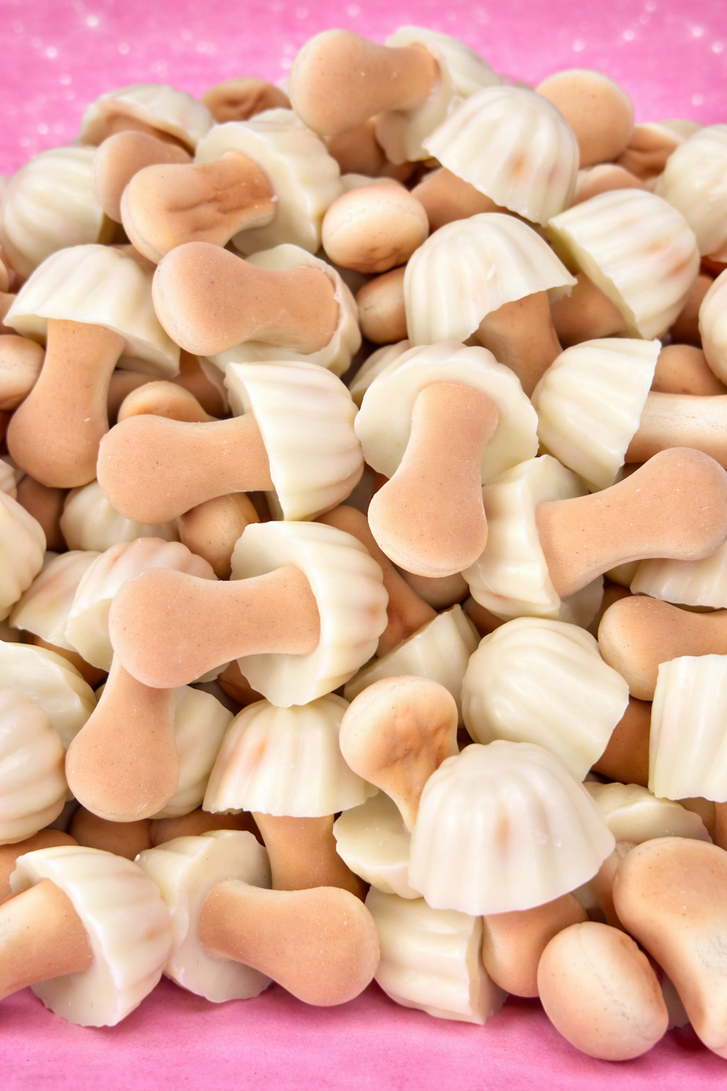 Biscuit champignons chocolat blanc 100g